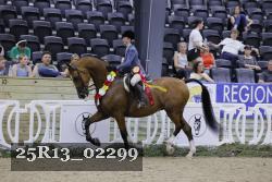 25R13_02299 thumbnail