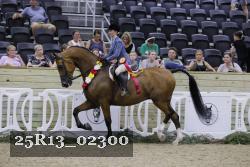 25R13_02300 thumbnail