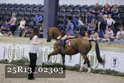 25R13_02303 thumbnail