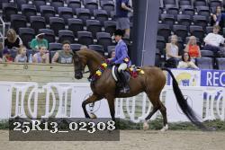 25R13_02308 thumbnail
