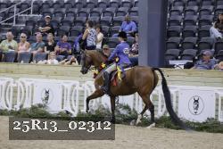 25R13_02312 thumbnail