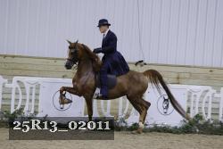 25R13_02011 thumbnail