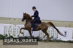 25R13_02012 thumbnail