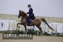 25R13_02013 thumbnail