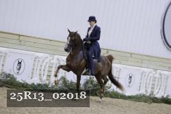 25R13_02018 thumbnail