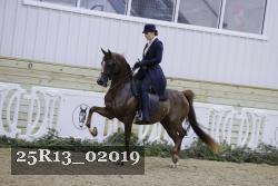 25R13_02019 thumbnail