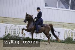 25R13_02020 thumbnail