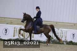 25R13_02021 thumbnail