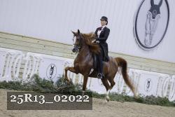 25R13_02022 thumbnail