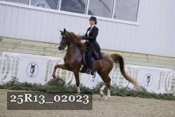 25R13_02023 thumbnail