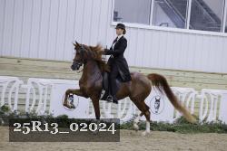 25R13_02024 thumbnail