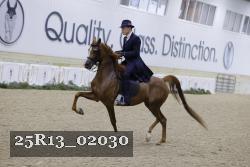 25R13_02030 thumbnail