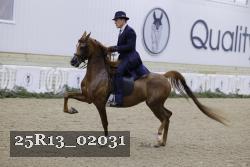 25R13_02031 thumbnail