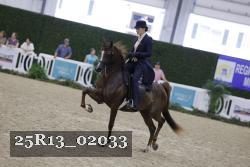 25R13_02033 thumbnail