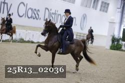 25R13_02036 thumbnail