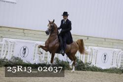 25R13_02037 thumbnail