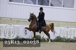 25R13_02038 thumbnail