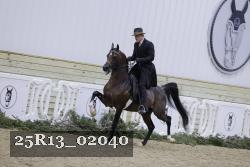 25R13_02040 thumbnail