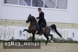 25R13_02041 thumbnail