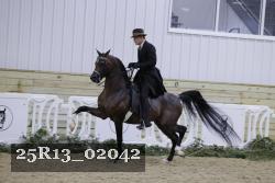 25R13_02042 thumbnail