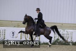 25R13_02043 thumbnail