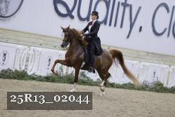 25R13_02044 thumbnail