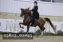 25R13_02045 thumbnail