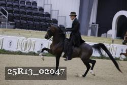 25R13_02047 thumbnail