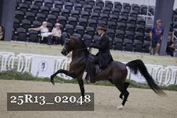 25R13_02048 thumbnail