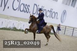 25R13_02049 thumbnail