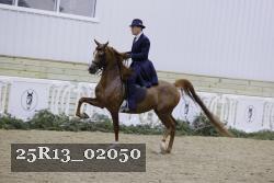 25R13_02050 thumbnail