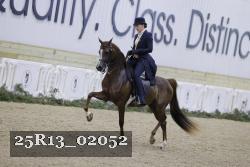 25R13_02052 thumbnail