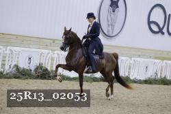 25R13_02053 thumbnail