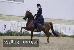25R13_02054 thumbnail