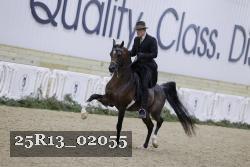 25R13_02055 thumbnail
