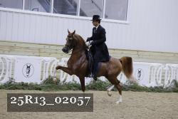 25R13_02057 thumbnail