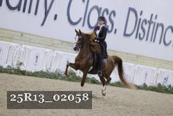 25R13_02058 thumbnail