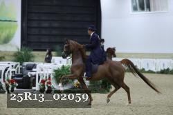 25R13_02059 thumbnail