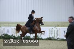 25R13_02060 thumbnail