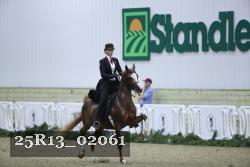 25R13_02061 thumbnail