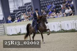 25R13_02062 thumbnail