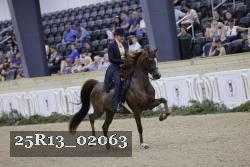 25R13_02063 thumbnail