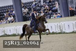 25R13_02064 thumbnail