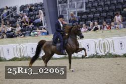 25R13_02065 thumbnail