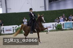 25R13_02066 thumbnail