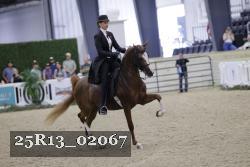 25R13_02067 thumbnail