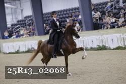 25R13_02068 thumbnail