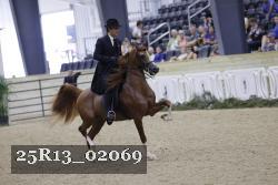 25R13_02069 thumbnail