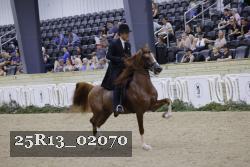 25R13_02070 thumbnail