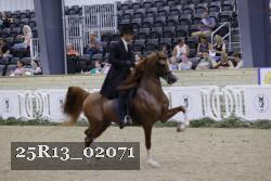 25R13_02071 thumbnail